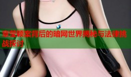 章莹颖案背后的暗网世界揭秘与法律挑战探讨