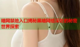 暗网禁地入口揭秘黑暗网络深处的秘密世界探索