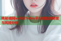 揭秘暗网xc0221c0m平台背后的秘密与风险分析