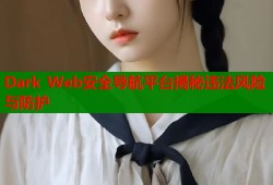 Dark Web安全导航平台揭秘违法风险与防护