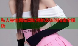 私人禁地网站网址揭秘及访问指南全解析