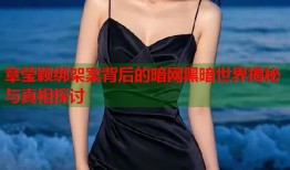 章莹颖绑架案背后的暗网黑暗世界揭秘与真相探讨