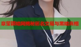 章莹颖暗网揭秘匿名交易与黑暗真相