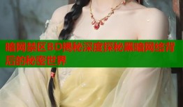 暗网禁区BD揭秘深度探秘黑暗网络背后的秘密世界