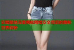 安网禁地深度揭秘网络安全背后的隐秘世界探秘