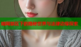 暗网禁区下的隐秘世界与法律边缘探索