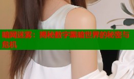 暗网迷雾：揭秘数字黑暗世界的秘密与危机