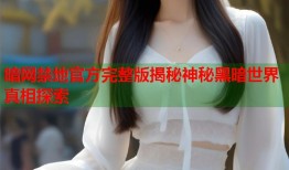 暗网禁地官方完整版揭秘神秘黑暗世界真相探索