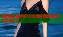 暗网禁区破解版1全攻略揭秘隐藏秘密与实用技巧