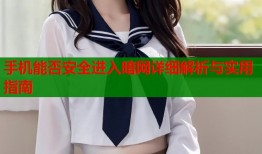 手机能否安全进入暗网详细解析与实用指南