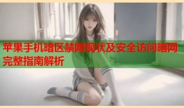 苹果手机暗区禁网现状及安全访问暗网完整指南解析