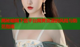 揭秘暗网下载平台网黄资源的风险与防范指南