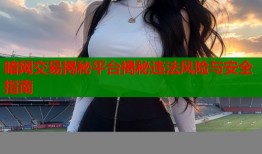 暗网交易揭秘平台揭秘违法风险与安全指南