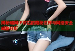 揭秘暗网IP背后的隐秘世界与网络安全威胁分析