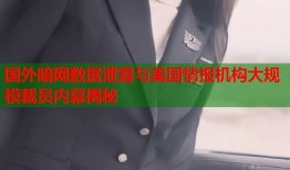 国外暗网数据泄露与美国情报机构大规模裁员内幕揭秘