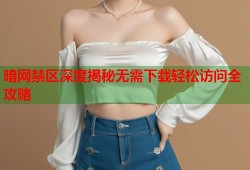 暗网禁区深度揭秘无需下载轻松访问全攻略
