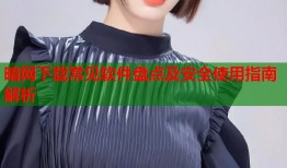 暗网下载常见软件盘点及安全使用指南解析