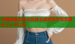 进暗网是否违法及其法律风险与防范解析三十字以内