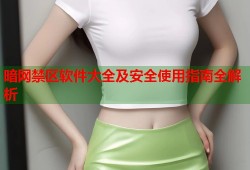 暗网禁区软件大全及安全使用指南全解析
