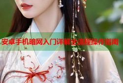 安卓手机暗网入门详解全流程操作指南