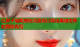 红房子暗网揭秘深度探讨网络黑暗世界的隐秘真相