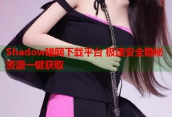 Shadow暗网下载平台 极速安全隐秘资源一键获取
