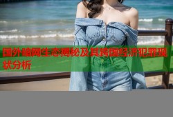 国外暗网生态揭秘及其跨国经济犯罪现状分析