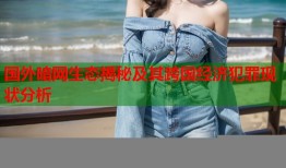 国外暗网生态揭秘及其跨国经济犯罪现状分析