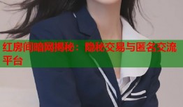 红房间暗网揭秘：隐秘交易与匿名交流平台