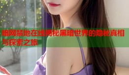 暗网禁地在线揭秘黑暗世界的隐秘真相与探索之旅