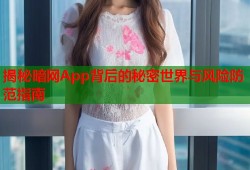 揭秘暗网App背后的秘密世界与风险防范指南