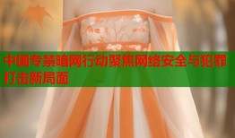 中国专禁暗网行动聚焦网络安全与犯罪打击新局面