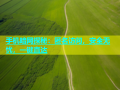 手机暗网探秘：匿名访问，安全无忧，一键直达