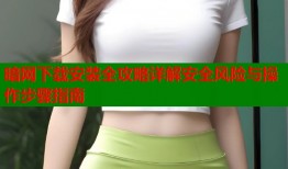 暗网下载安装全攻略详解安全风险与操作步骤指南