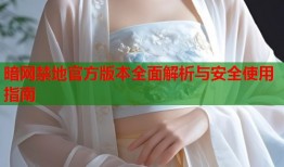 暗网禁地官方版本全面解析与安全使用指南