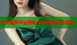 最大暗网平台揭秘 安全匿名交易首选