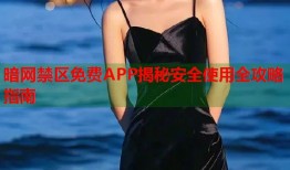 暗网禁区免费APP揭秘安全使用全攻略指南