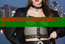 暗网破解版揭秘与风险防范全解析三十字