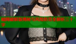 暗网破解版揭秘与风险防范全解析三十字