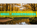 暗网禁区：探索隐秘世界的全新视角