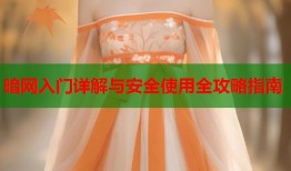 暗网入门详解与安全使用全攻略指南