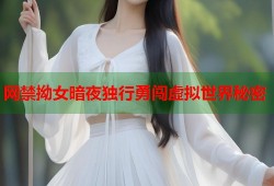 网禁拗女暗夜独行勇闯虚拟世界秘密