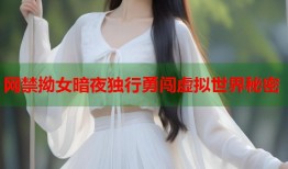 网禁拗女暗夜独行勇闯虚拟世界秘密