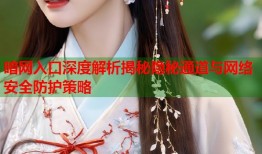 暗网入口深度解析揭秘隐秘通道与网络安全防护策略