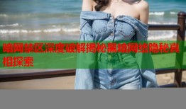 暗网禁区深度破解揭秘黑暗网络隐秘真相探索
