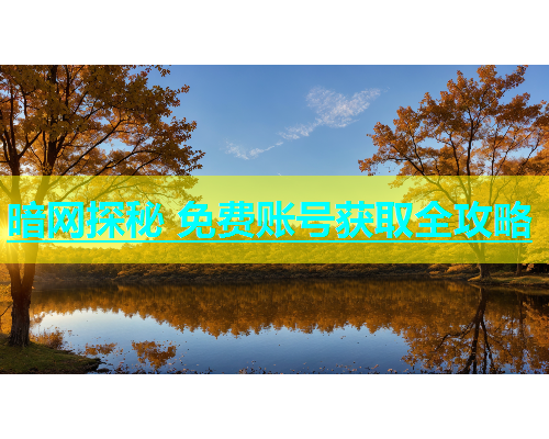 暗网探秘 免费账号获取全攻略