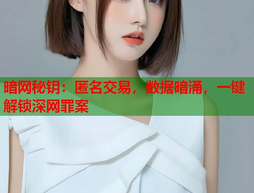 暗网秘钥：匿名交易，数据暗涌，一键解锁深网罪案