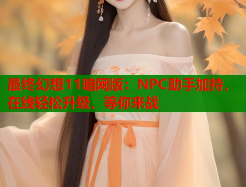 最终幻想11暗网版：NPC助手加持，在线轻松升级，等你来战