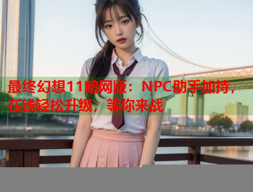 最终幻想11暗网版：NPC助手加持，在线轻松升级，等你来战