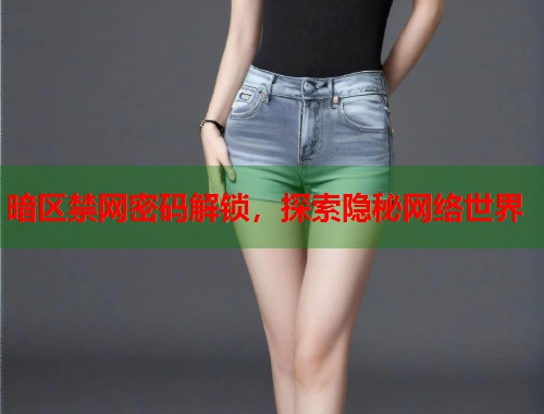 暗区禁网密码解锁，探索隐秘网络世界